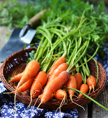 carrots_blog_shutterstock_154184855_72ppi