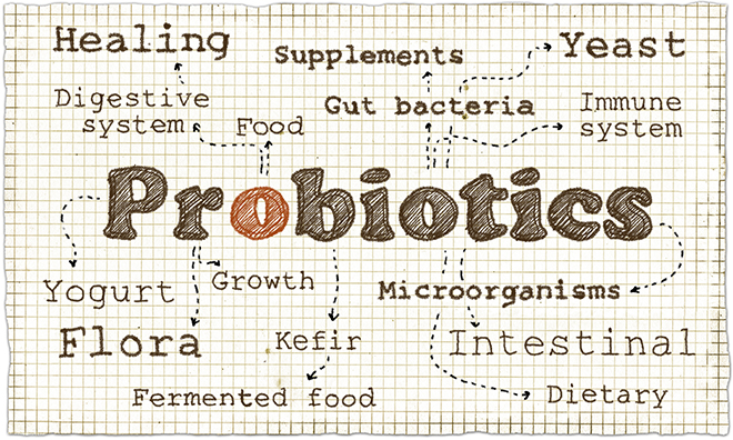 probiotics-word-cloud