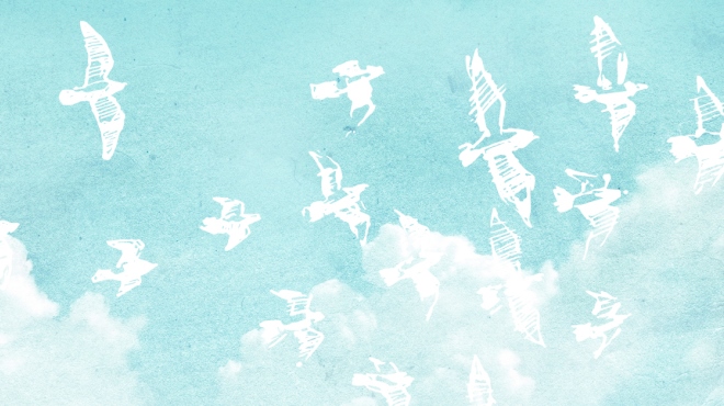 白色鸟和云彩在蓝色背景