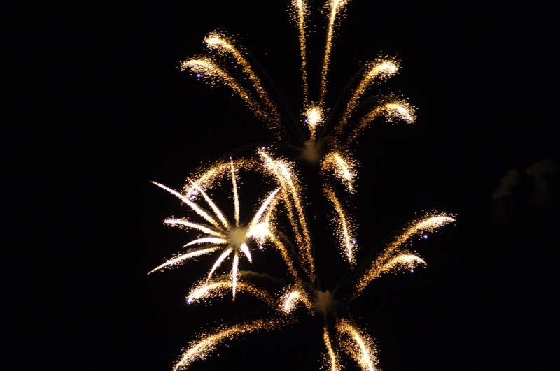烟花在夜空景观中爆炸