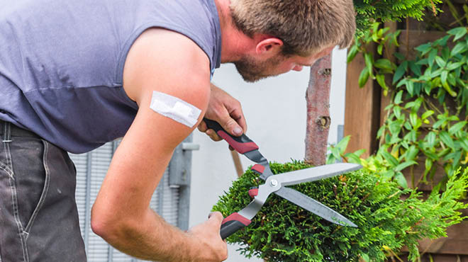 手臂上缠着绷带的人,正在用树篱剪