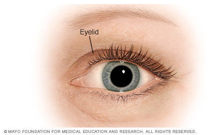 眼皮